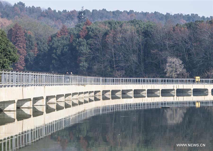 CHINA-HUBEI-WUHAN-EAST LAKE-GREENWAY (CN)