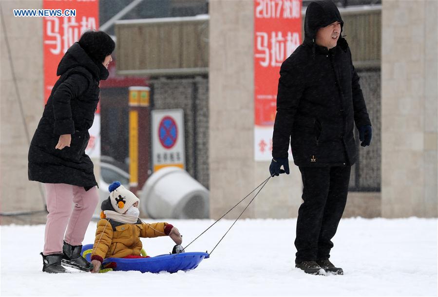 CHINA-NORTHEASTERN REGION-SNOWFALL (CN)