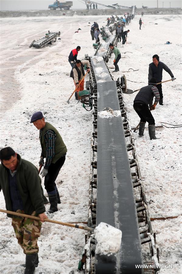 #CHINA-SHANXI-MIRABILITE-HARVEST (CN)