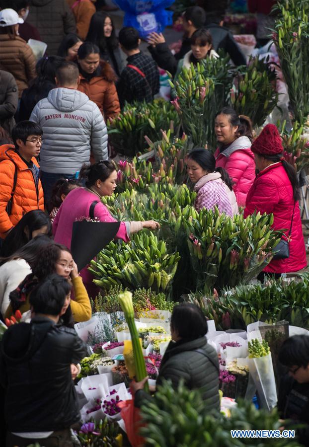 CHINA-YUNNAN-FLOWER INDUSTRY (CN)