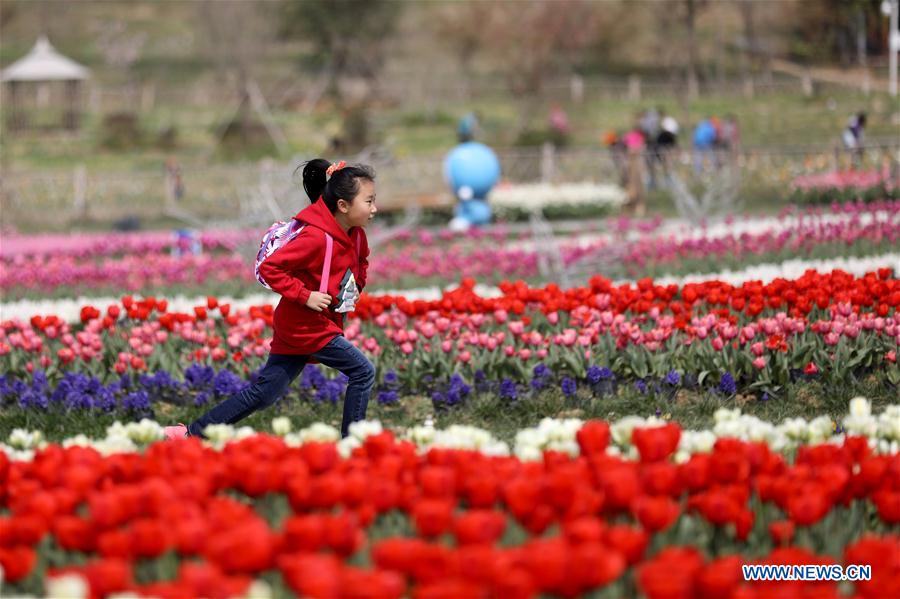 # CHINA-ZHEJIANG-SPRING-SCENERY-CHILDREN(CN)