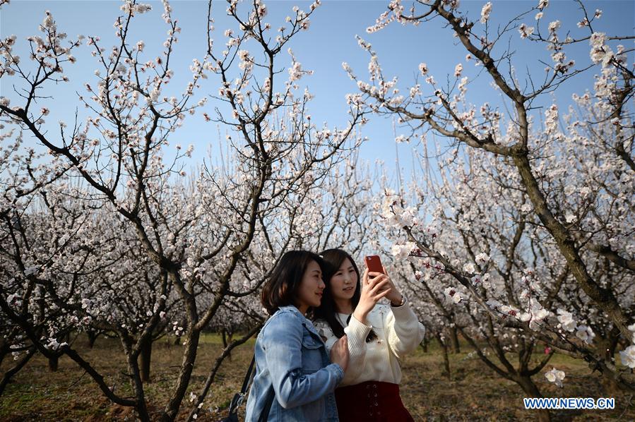 CHINA-SPRING VIEW (CN)