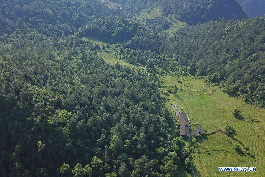 CHINA-GUIZHOU-NATURE RESERVE-SCENERY (CN)