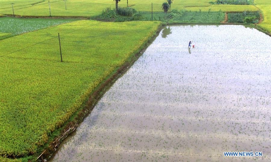 #CHINA-LESSER HEAT-FARMING (CN)