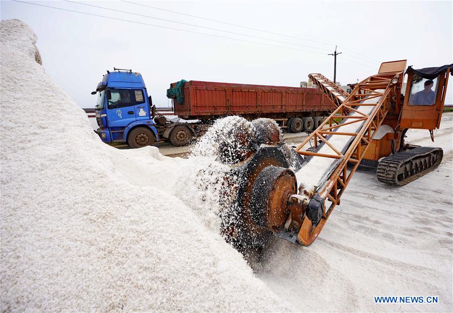 CHINA-HEBEI-TANGSHAN-SEA SALT HARVEST (CN)