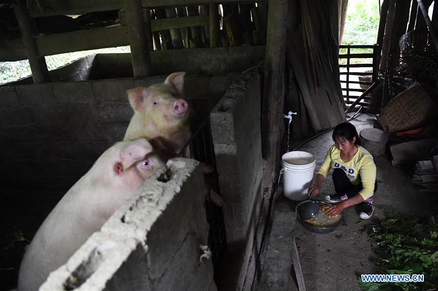 CHINA-CHONGQING-DISABLED FEMALE FARMER (CN)