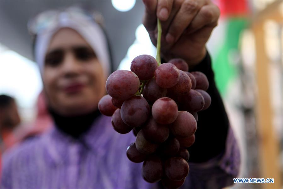 MIDEAST-HEBRON-GRAPES FESTIVAL