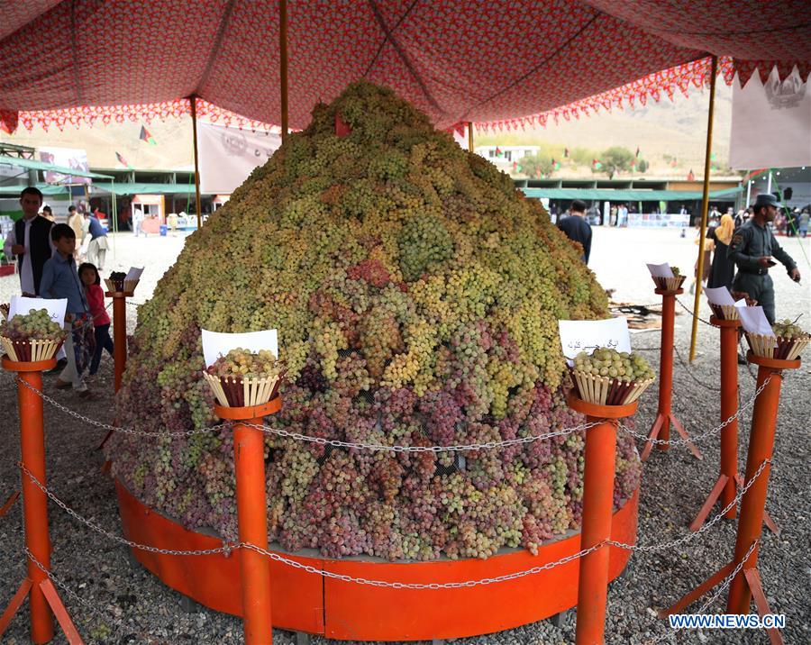 AFGHANISTAN-KABUL-AGRICULTURE EXPO