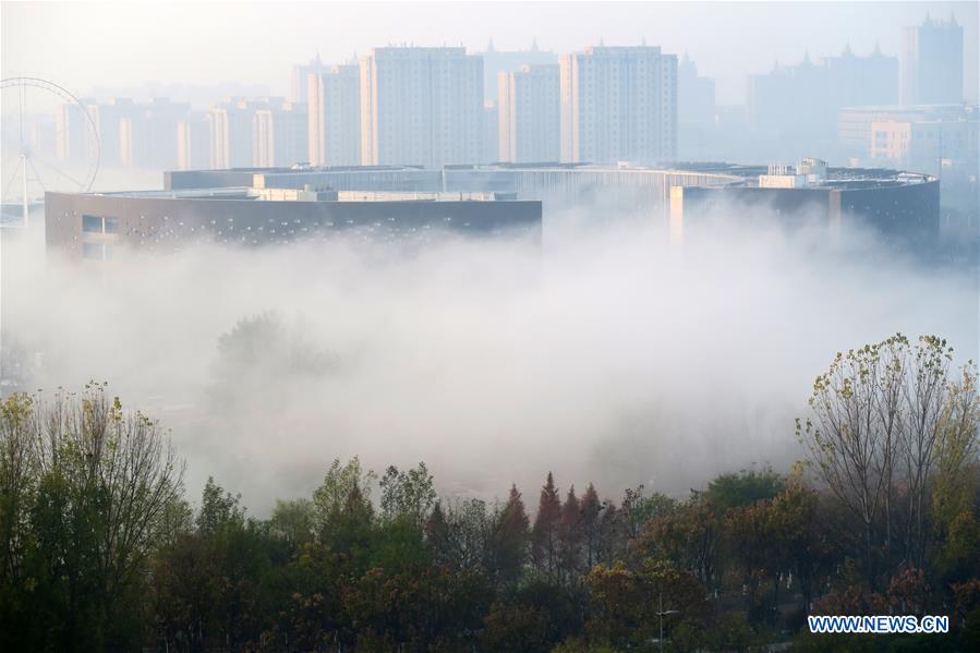 #CHINA-SHANDONG-JINING-ADVECTION FOG (CN*)