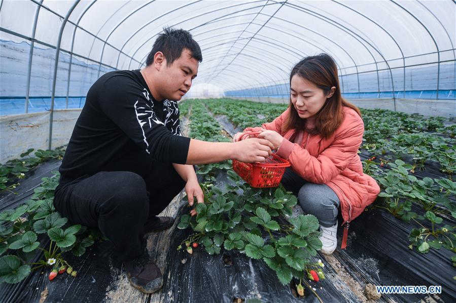 CHINA-ZHEJIANG-DONGLIN-ECOLOGICAL AGRICULTURE (CN)