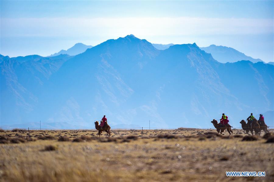 CHINA-INNER MONGOLIA-BAYAN NUR-CAMEL FESTIVAL (CN)