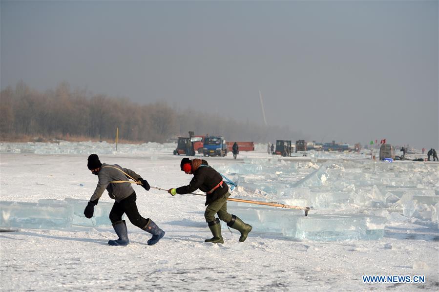 CHINA-HEILONGJIANG-HARBIN-ICE COLLECTING (CN)