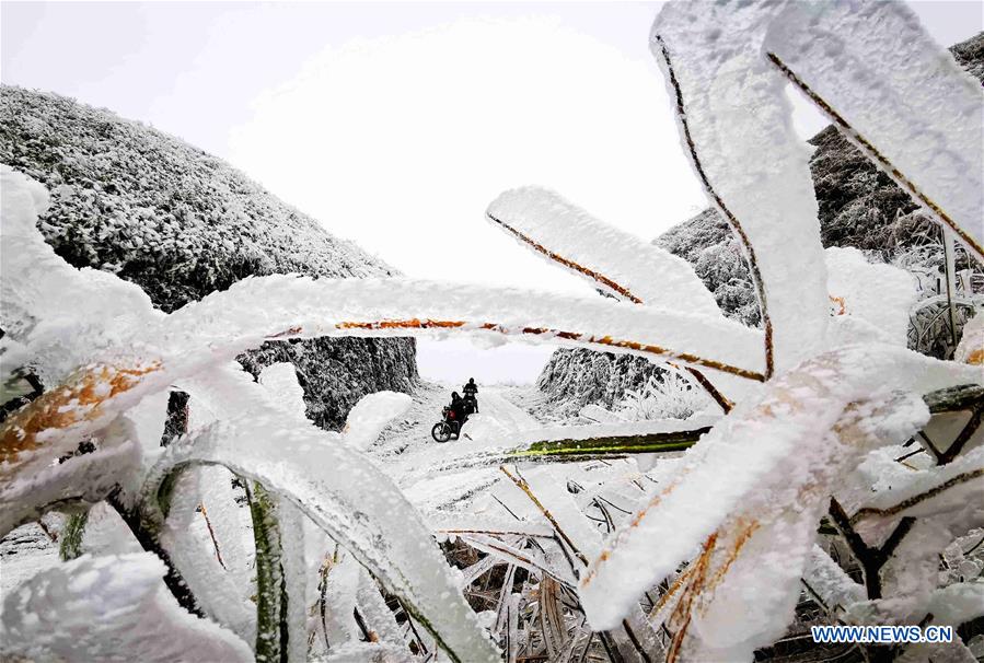 #CHINA-WEATHER-WINTER SCENERY (CN)