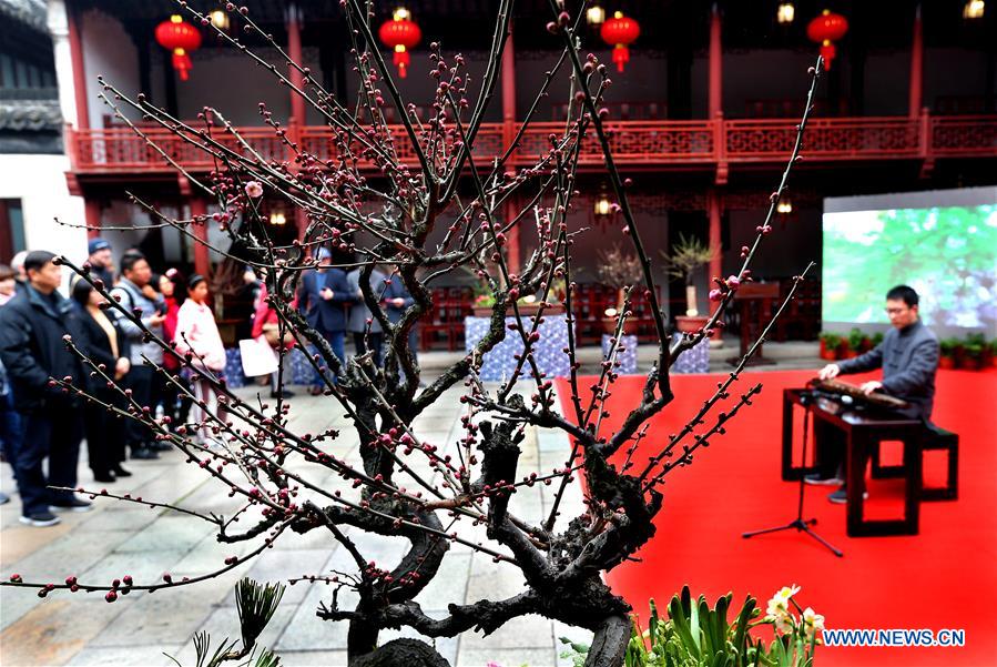 CHINA-SHANGHAI-PLUM EXHIBITION (CN)