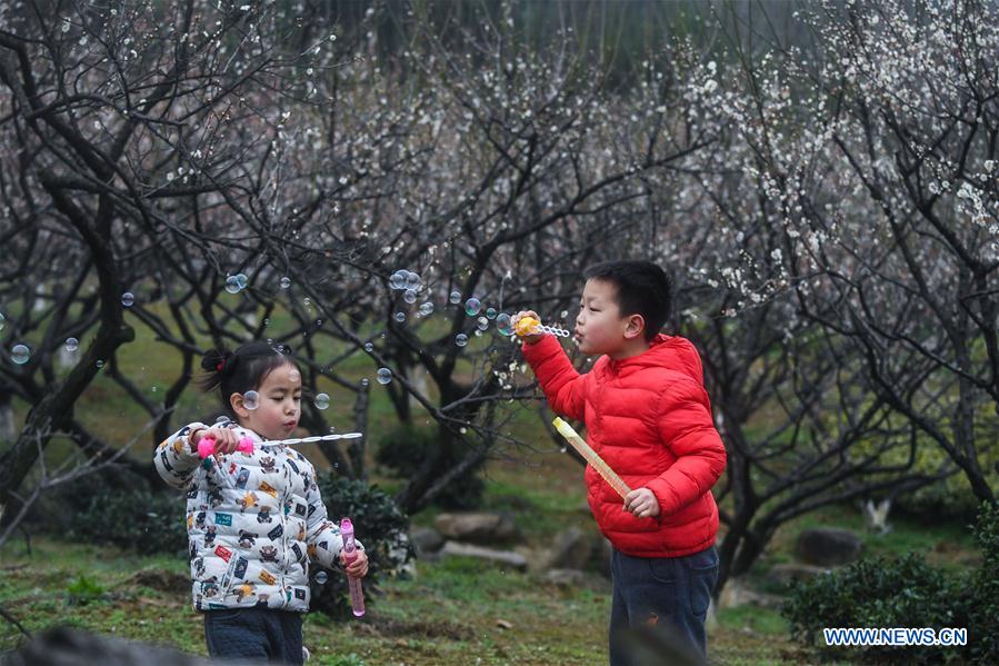 CHINA-ZHEJIANG-SPRING-PLUM BLOSSOM(CN)