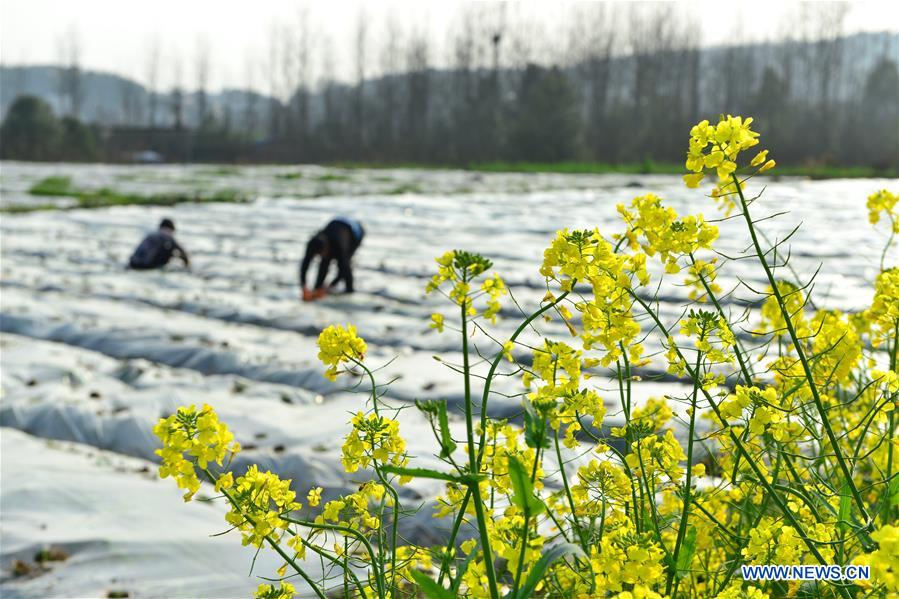 #CHINA-SPRING-FARMING (CN)