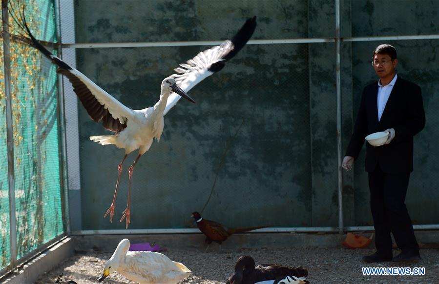 #CHINA-HEBEI-CANGZHOU-MIGRANT BIRD-AID (CN)