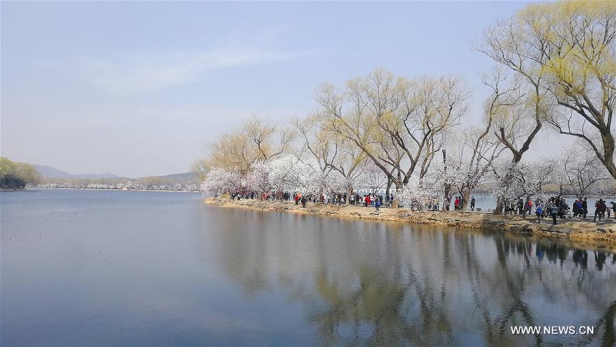 (BeijingCandid) CHINA-BEIJING-SPRING (CN)