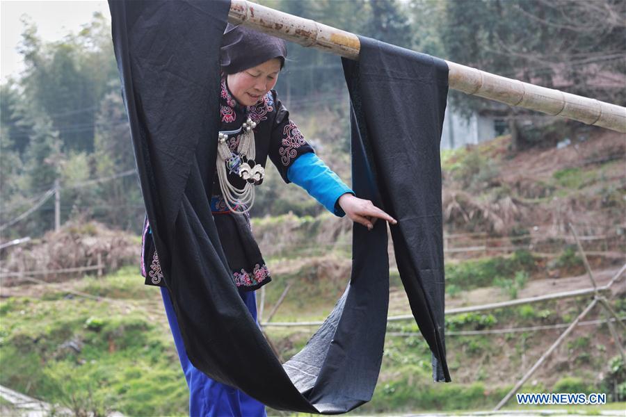 CHINA-GUIZHOU-JINPING-EMBROIDERY (CN)