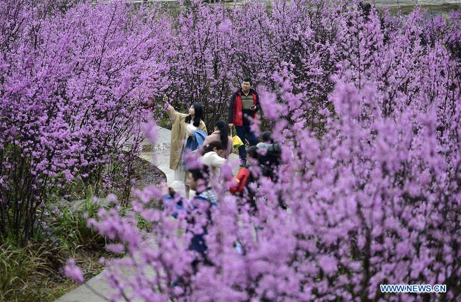 # CHINA-SPRING-SCENERY (CN)