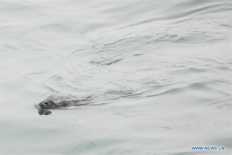 XINHUA PHOTOS OF THE DAY