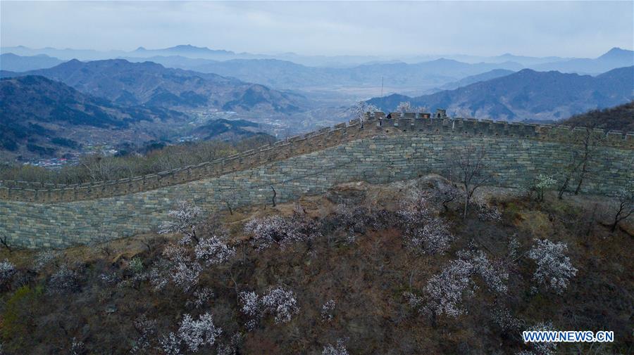 CHINA-BEIJING-GREAT WALL-SCENERY (CN)