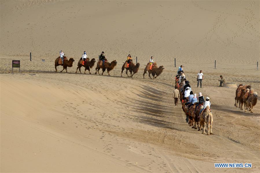 CHINA-GANSU-DUNHUANG-CAMEL-RIDE (CN)