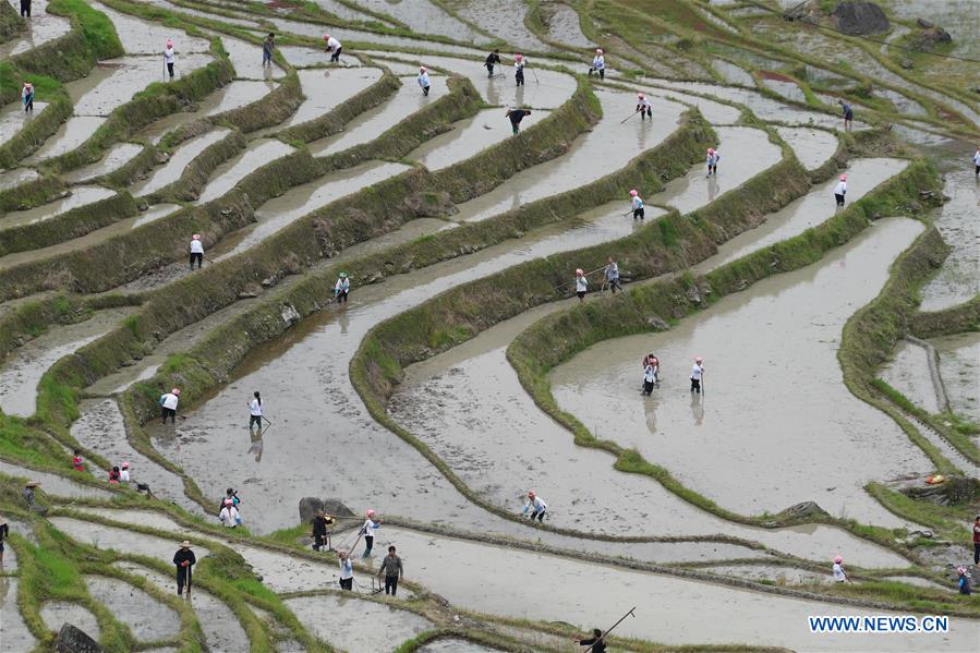 #CHINA-GUANGXI-TERRACED FIELD-FARMING (CN)