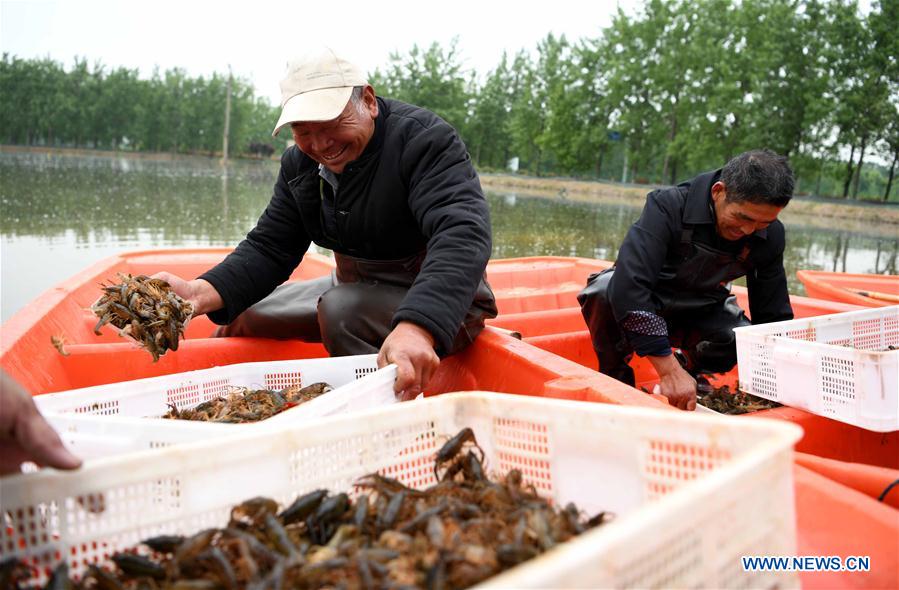 CHINA-ANHUI-WUHE-RURAL ECONOMY