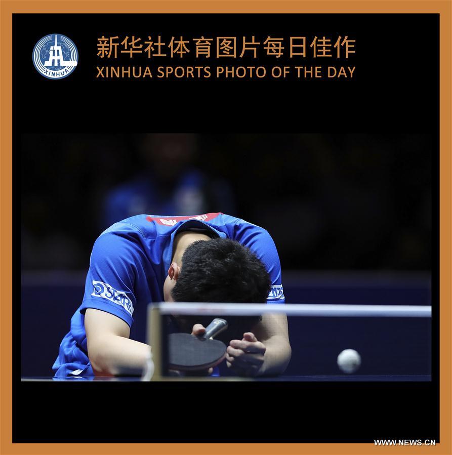 XINHUA SPORTS PHOTO OF DAY