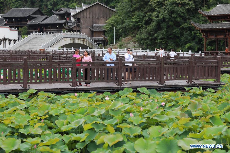 CHINA-GUIZHOU-DUSHAN-LOTUS FLOWERS (CN)