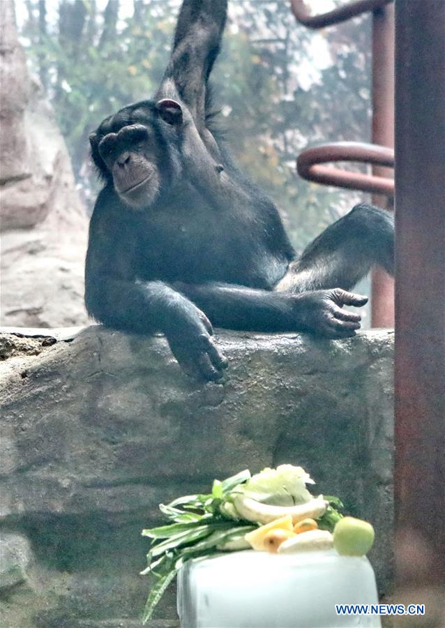 CHINA-BEIJING ZOO-SUMMER (CN)