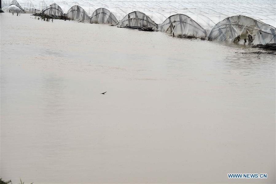 CHINA-SHANDONG-SHOUGUANG-TYPHOON-FLOOD (CN)