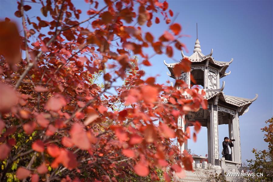 CHINA-HEBEI-SHAHE-AUTUMN SCENERY(CN)