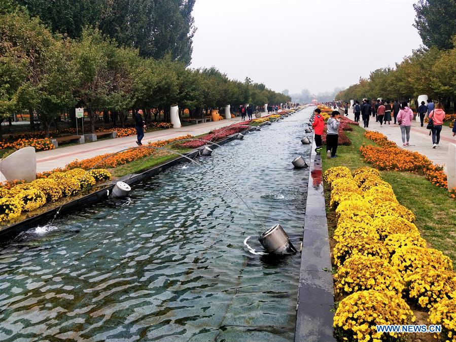 (BeijingCandid)CHINA-BEIJING-CHRYSANTHEMUM (CN)