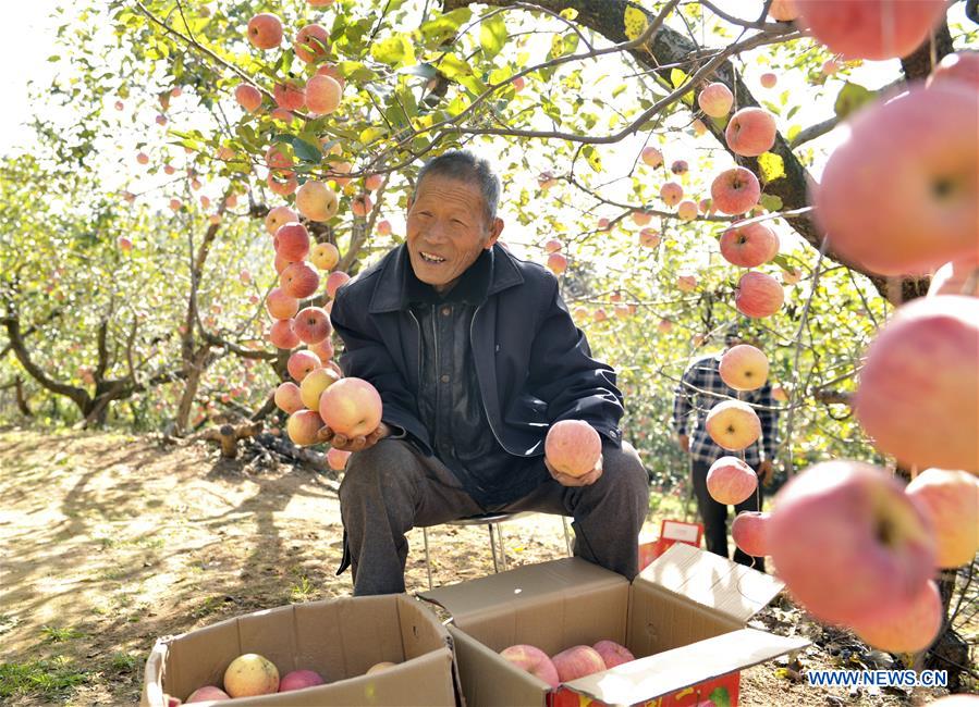 CHINA-HENAN-LUONING-POVERTY ALLEVIATION (CN)