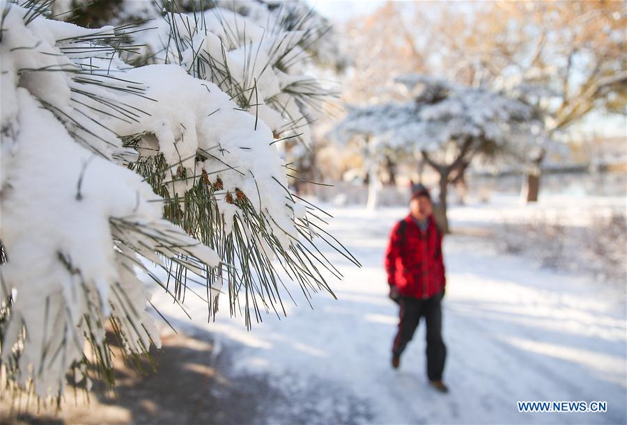 CHINA-SHENYANG-SNOW SCENERY (CN)