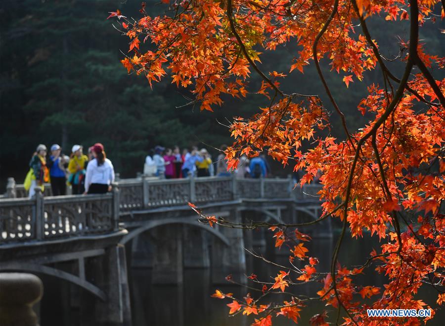 CHINA-JIANGXI-LUSHAN-MAPLE LEAVES (CN)