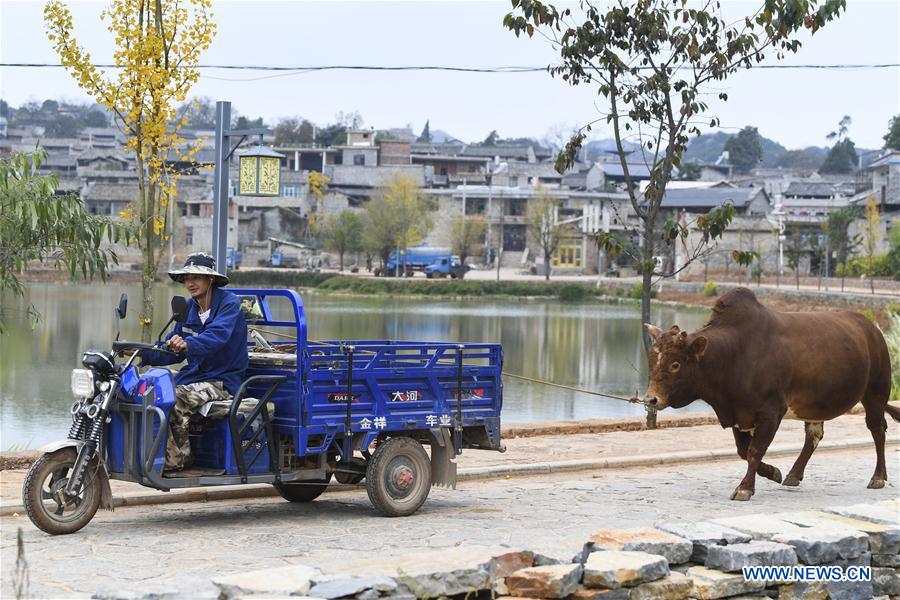 (FOCUS) CHINA-YUNNAN-SHILIN-ANCIENT VILLAGE RENEWAL (CN)