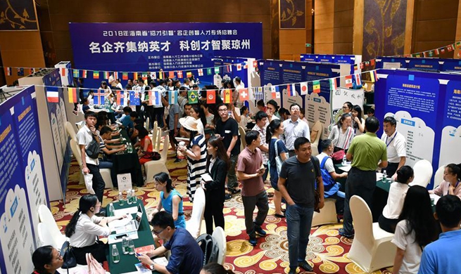 Job fair held in Haikou, S China's Hainan