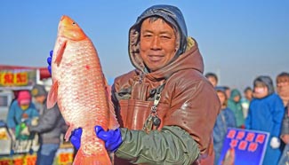 In pics: Spring Festival shopping in NE China