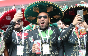 Fans cheer prior to World Cup group F match between Germany, Mexico