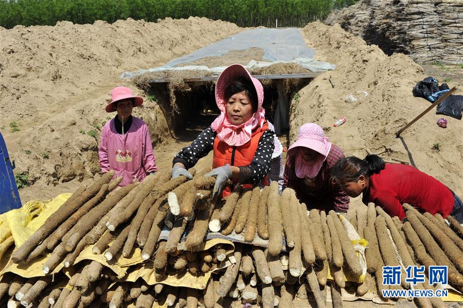 （在习近平新时代中国特色社会主义思想指引下——新时代新作为新篇章·图文互动）（4）中条山下绿意浓——一个“资源穷县”的生态发展之路