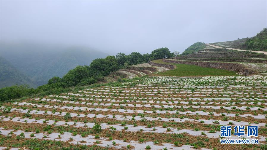 （决战决胜脱贫攻坚·图文互动）（3）唤醒“沉睡的大山”——“经营乡村”让乌蒙山极贫乡变了“模样”