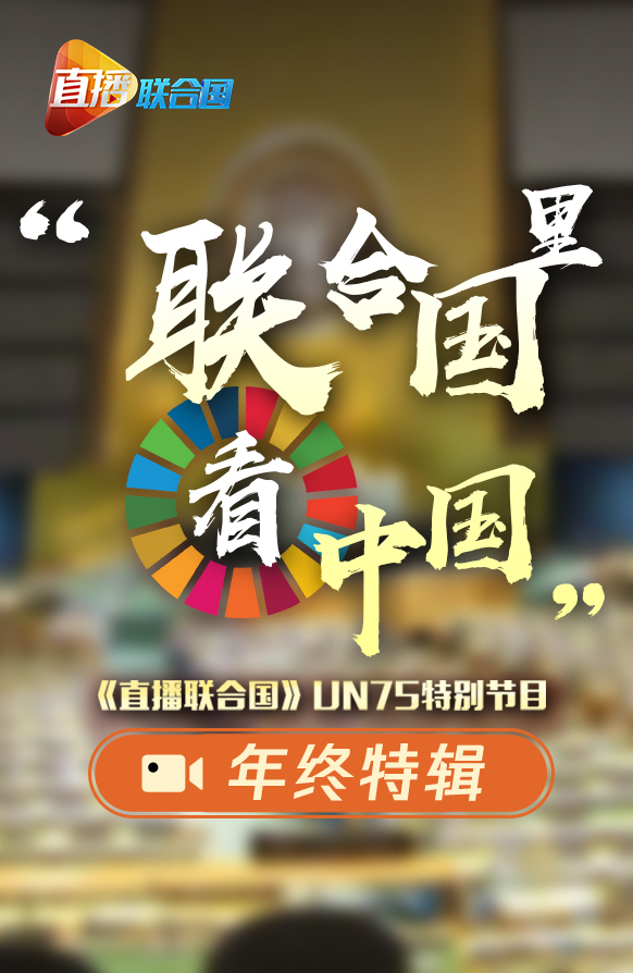 UN75年终特辑